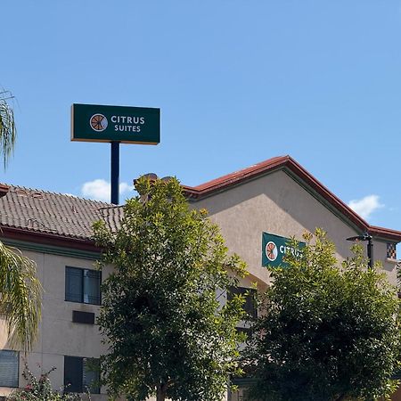 Citrus Suites Redlands Loma Linda Hotel Zewnętrze zdjęcie
