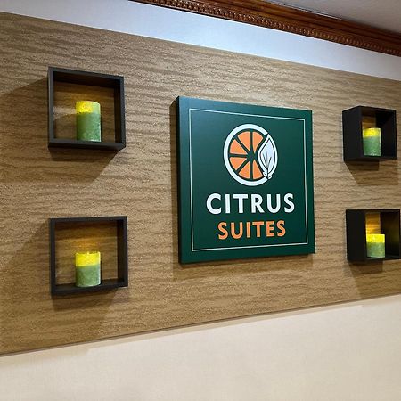 Citrus Suites Redlands Loma Linda Hotel Zewnętrze zdjęcie